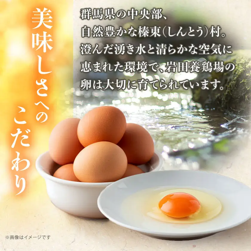 岩田のおいしい卵　実用中玉55個+破卵保障5個 (10個入り×6パック)_卵・乳製品 卵  たまご タマゴ 玉子_【配送不可地域：離島】【1081154】