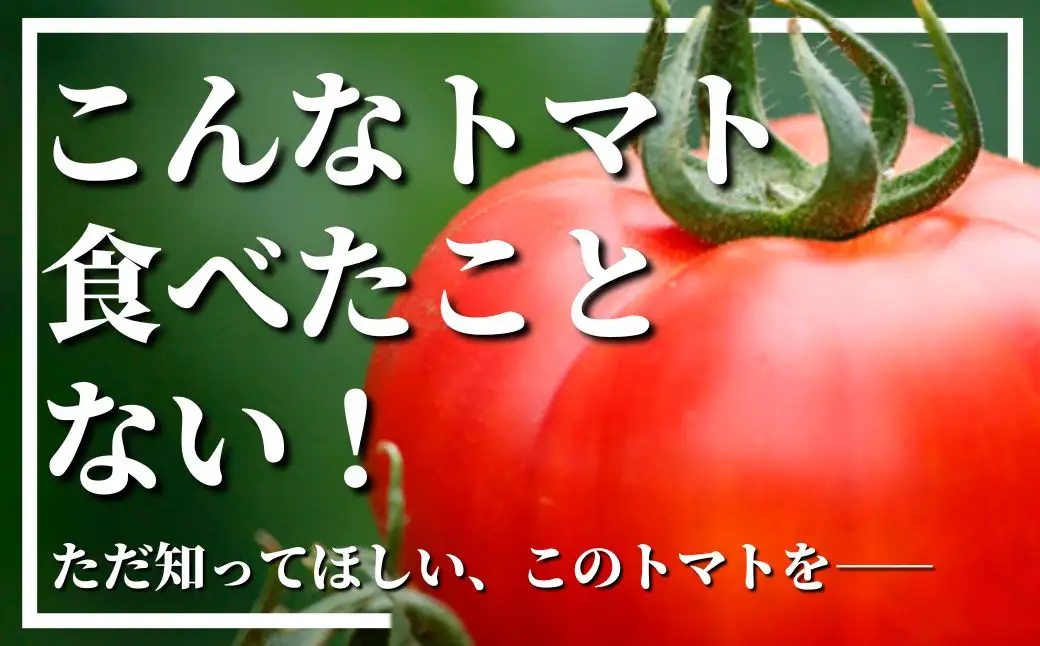 ＜7月1日先行予約受付開始！2027年3月下旬から順次発送予定＞フルーツトマト(1kg)トマト 野菜 期間限定 数量限定【110000101】【ひろしま農園】
