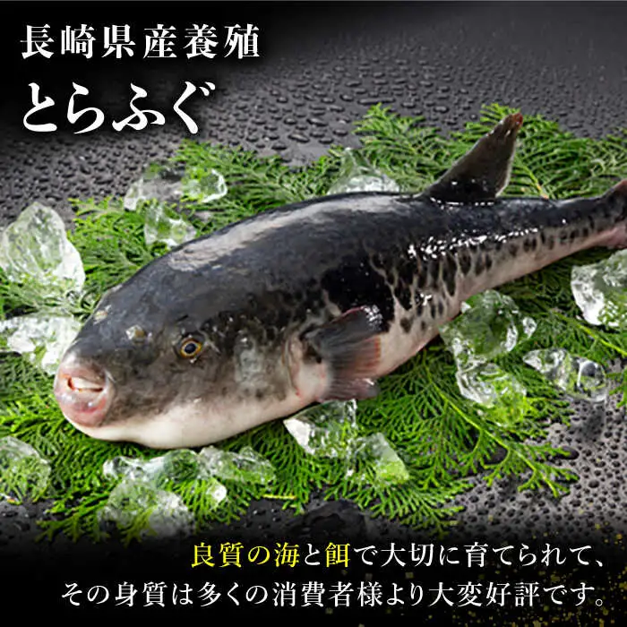 【敬老の日到着】とらふぐ 刺身 5人前 アラ付き / ふぐ フグ 河豚 トラフグ ふぐ刺し / 南島原市 / 大和庵 [SCJ031]