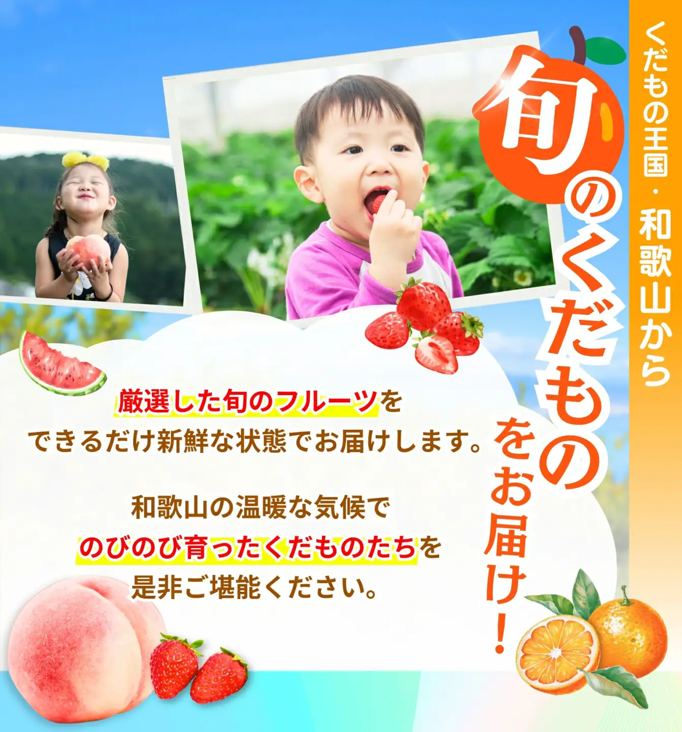 定期便【全6回/1～2・3・6・7・10・11月】わかやま旬のくだもの定期便【Ｓ】（配送日時指定不可）※北海道・沖縄・離島への配送不可  / 定期便 フルーツ  いちご イチゴ 清見オレンジ すいか 桃 柿 みかん 6回【ard-tkb900A】