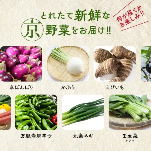 旬の京野菜スペシャル 野菜