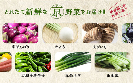 【3回定期便】旬の京野菜セット スペシャルコース 野菜