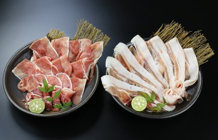 豚肉 日向 ひょっとこポーク ウデ & モモ スライス 各800g 1.6kg