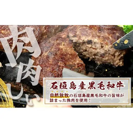 石垣島産 黒毛和牛 生ハンバーグ 120g x 6個 UN-1
