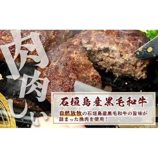 石垣島産 黒毛和牛 生ハンバーグ 120g x 10個  UN-2