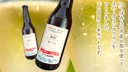つくばみらい市産の 梨 を使った スパークリングワイン 「 KOU 」 2本 入 