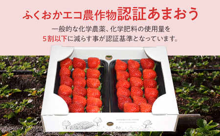 ふくおかエコ農作物認証あまおう M～Lサイズ 2箱セット あまおう イチゴ 苺 いちご フルーツ 果物 くだもの 福岡県産 お取り寄せグルメ お取り寄せ 福岡 お土産 九州 福岡土産 取り寄せ グルメ 福岡県