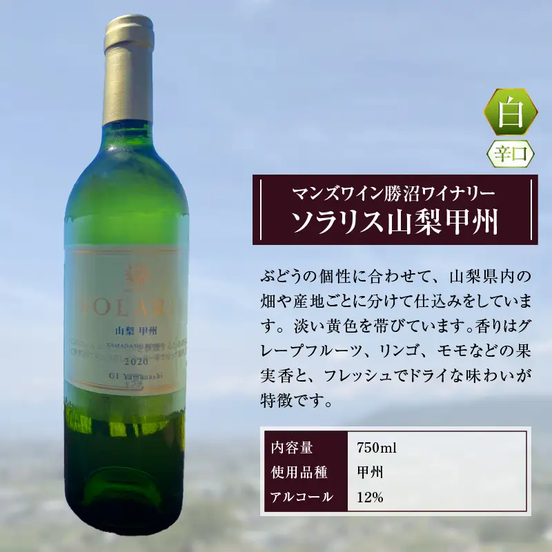 ワイン ソラリス 山梨甲州（白ワイン・辛口）（KBO）B15-603