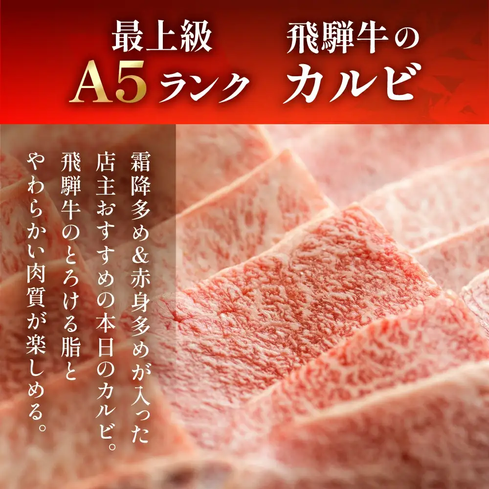 飛騨牛ミックスカルビ 580g【11-1014】