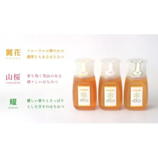 【 数量限定 】山桜 はちみつ と春の 田舎はちみつ の 3種 ギフト セット [ B3山桜 280g ]（ 茨城県共通返礼品： 五霞町 ）