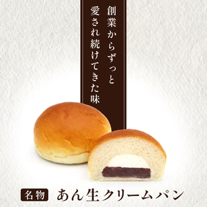 【3か月定期便】あん生クリームパン　ギフトセット6個入り 
