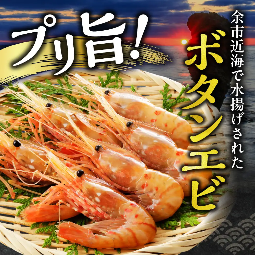 北海道余市産 ボタンエビ 300g＋ボイルシャコ300g 冷凍 えび_Y022-0027