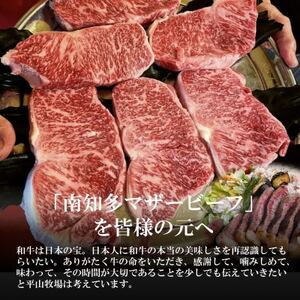 牛肉 焼肉用カルビ 700g [国産牛南知多マザービーフ] カルビ