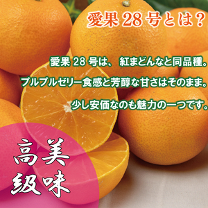 【紅まどんなと同品種】訳あり 愛果28号 約5kg まどんな 【VEG0045】