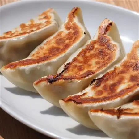 富山名物ミッちゃん餃子　自家製冷凍餃子12個入り4パック_惣菜・加工品 餃子  ぎょうざ ギョウザ_【配送不可地域：離島】【1453894】