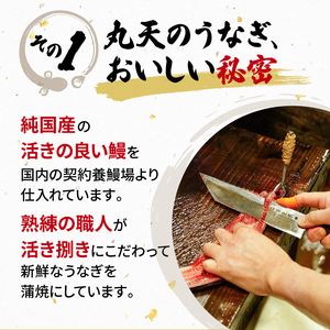 国産 120g 蒲焼 うなぎ 2尾 定期便 鰻 鰻
