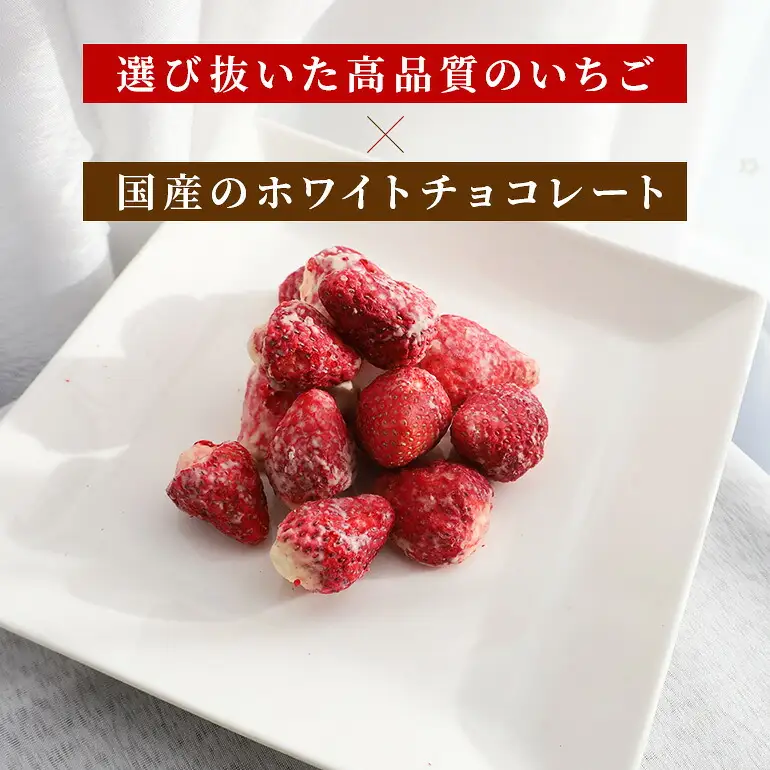 Chocolat de かさま おかしな果実ショコラ 完熟とちおとめの詰め合わせ BH-031
