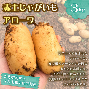  和泊町「夢」のコラボ【2回】定期便Ｃ W034-003u 野菜 イモ 定期便