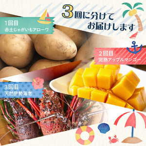 和泊町「夢」のコラボ【3回】定期便Ｄ W034-004u 冷凍 野菜 イモ 定期便
