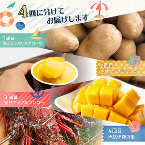 和泊町「夢」のコラボ【4回】定期便Ｅ W034-005u 冷凍 野菜 イモ 定期便