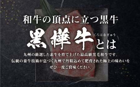 くまもと黒毛和牛 黒樺牛 A4～A5等級 ローススライス すき焼き用 500g
