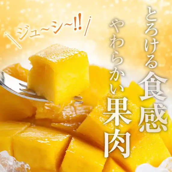 訳あり 宮崎県産 完熟マンゴー 約2.8kg 令和9年発送分 2027年 フルーツ_FD19-26
