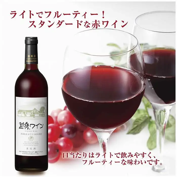 越後ワイン 赤 750ml 2本セット アグリコア  越後ワイナリー  新潟県産 ぶどう100%使用  辛口 ミディアムボディ アルコール12% 国産ワイン 魚沼ワイン 送料無料 新潟県 南魚沼市