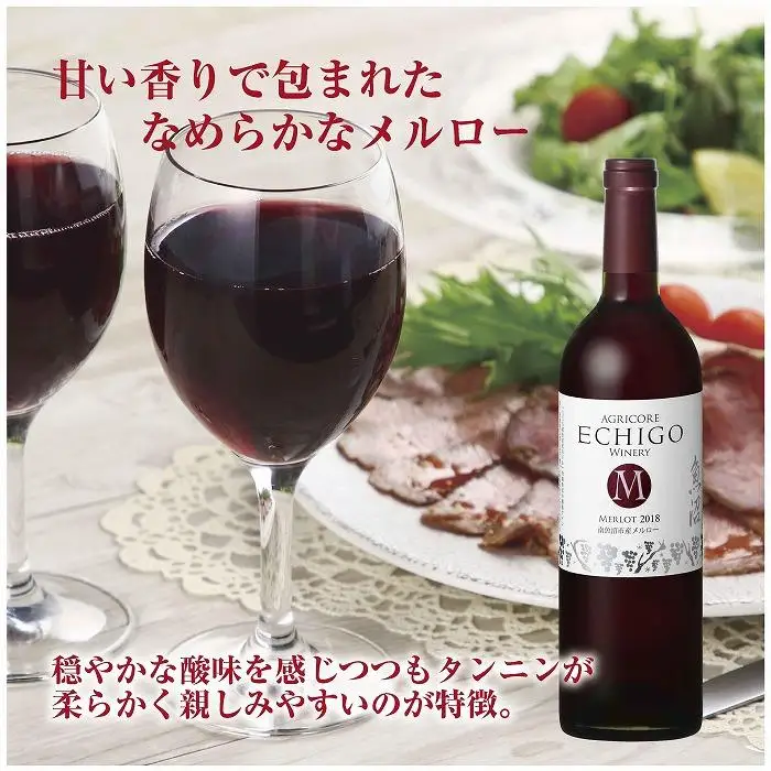 越後ワイン メルロー 赤 750ml 2本セット アグリコア  越後ワイナリー  南魚沼市産メルロー使用 辛口 ミディアムボディ 度数12% 国産ワイン 魚沼ワイン わいん 送料無料 新潟県 南魚沼市