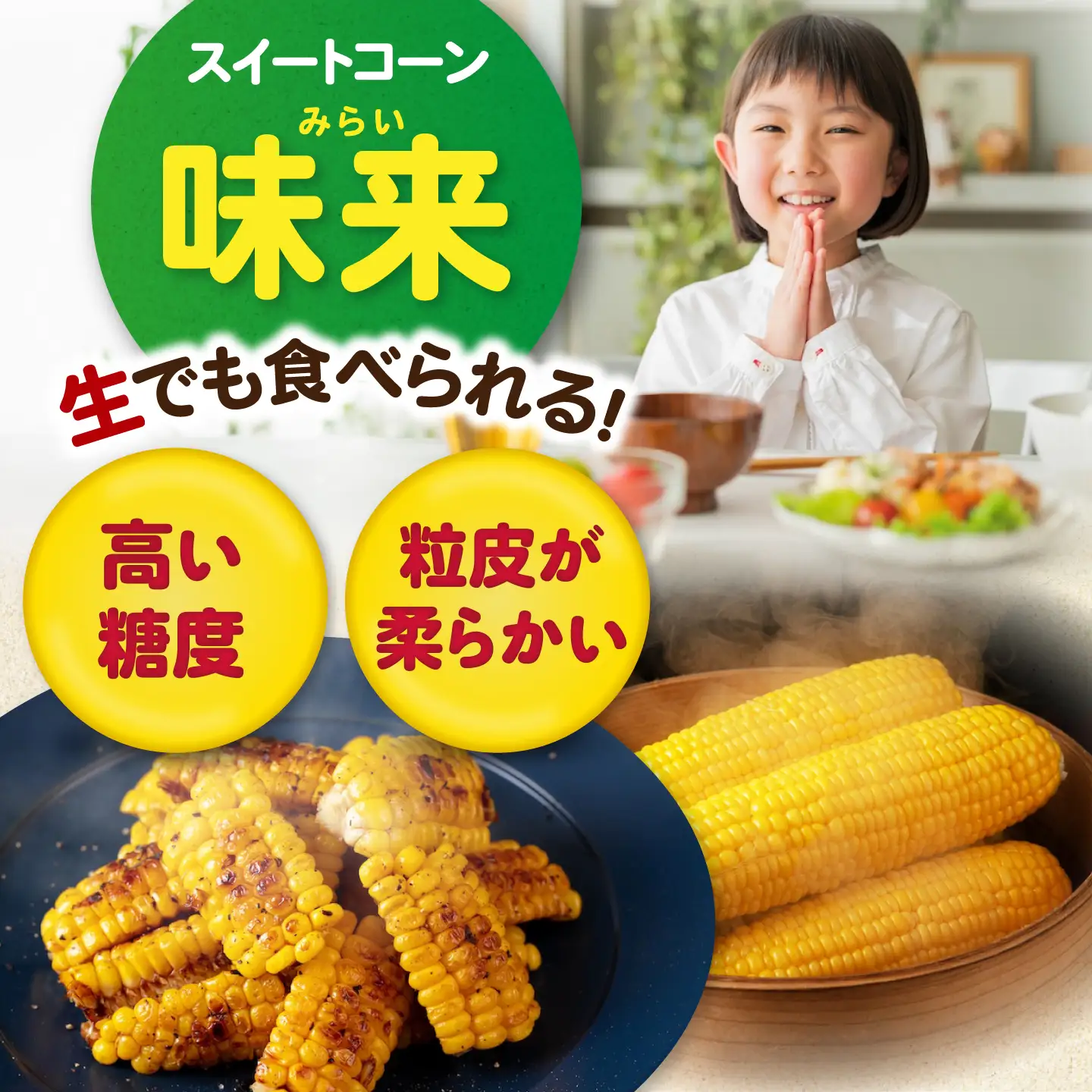 【先行予約】とうもろこし 味来 13本 [AJAK006] とうもろこし