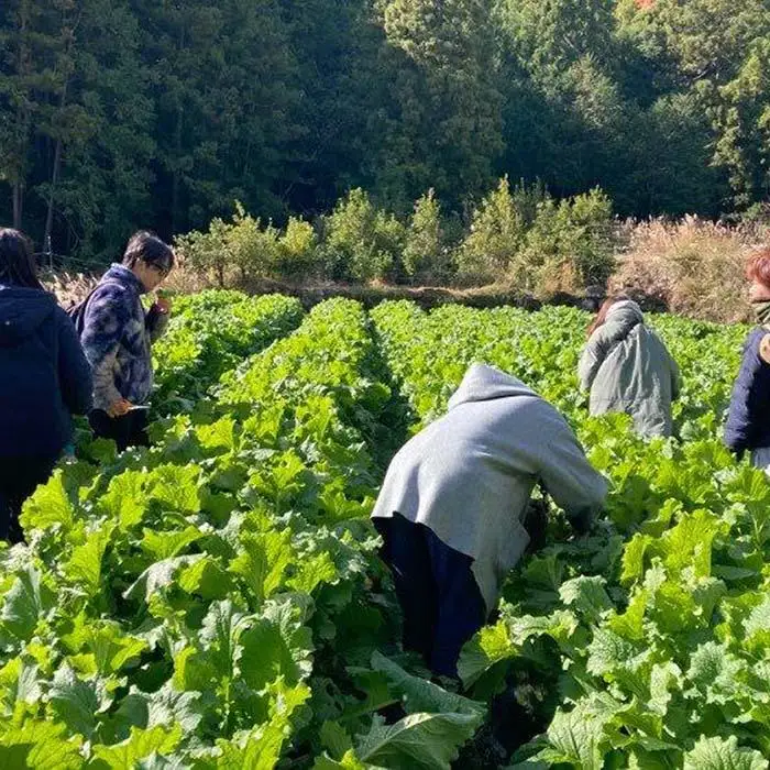 食の生産現場を巡り、地域の食をいただく 体験レストランチケット 2名様分