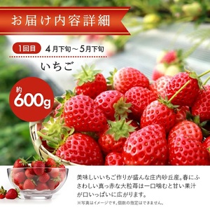 SE0485　【3回定期便】おいしい酒田 マルっとお届け便2026(2) 4月下旬～ (いちご、紅花メロン、刈屋梨)