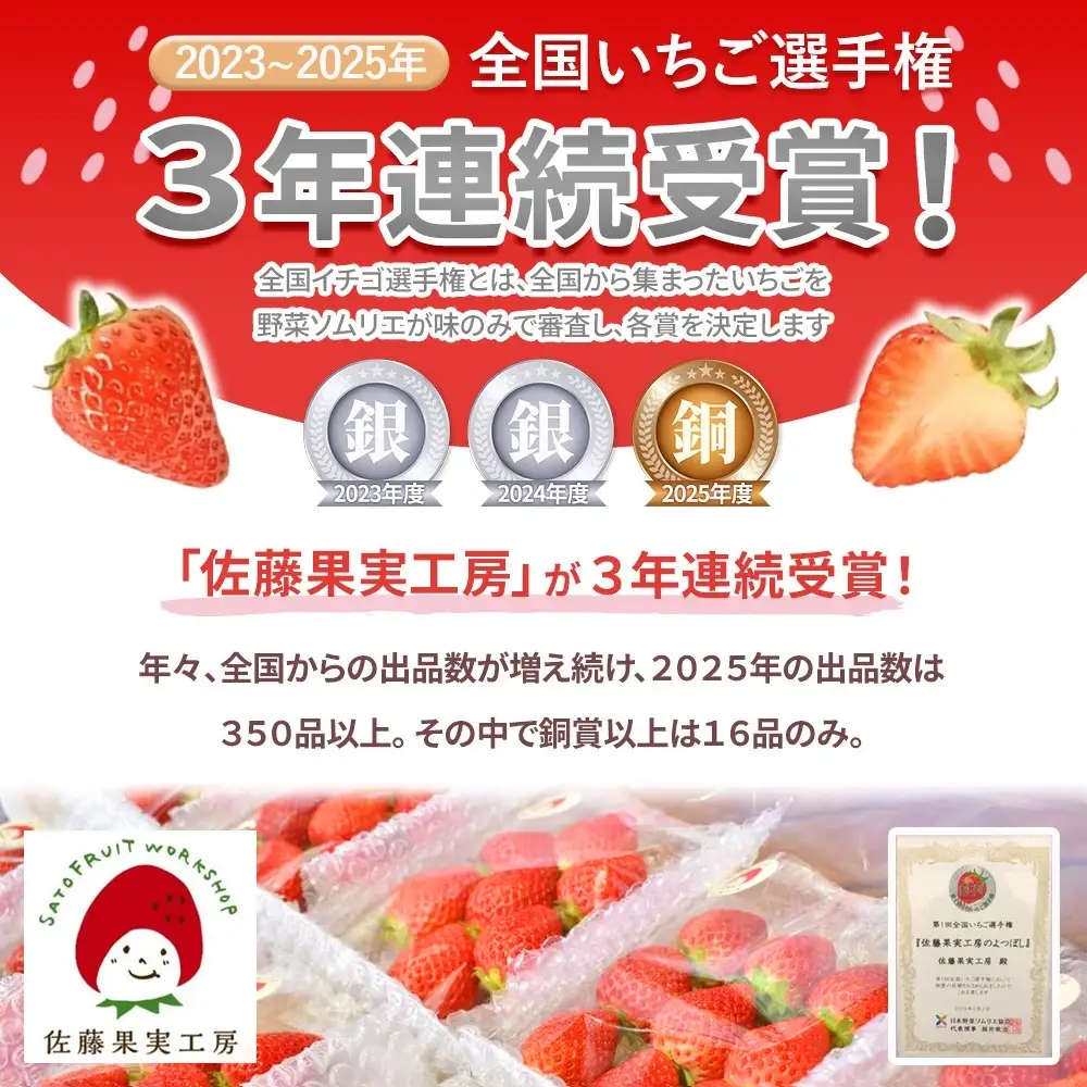 《2027年産先行予約》「西脇市産 佐藤果実工房のよつぼし」（約270g×３パック 約810g）【佐藤果実工房 全国いちご選手権銀賞受賞農園 TVで紹介!】令和９年１月中旬配送分（09-39）