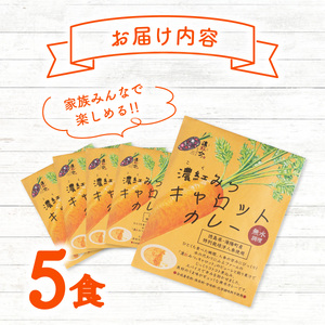 濃紅みつキャロットカレー 5食 人参 にんじん カレー