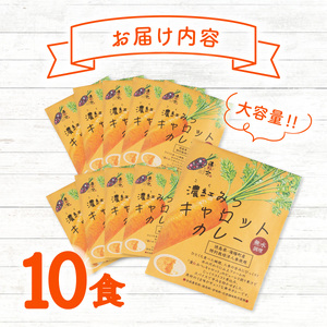 濃紅みつキャロットカレー 10食 人参 にんじん カレー