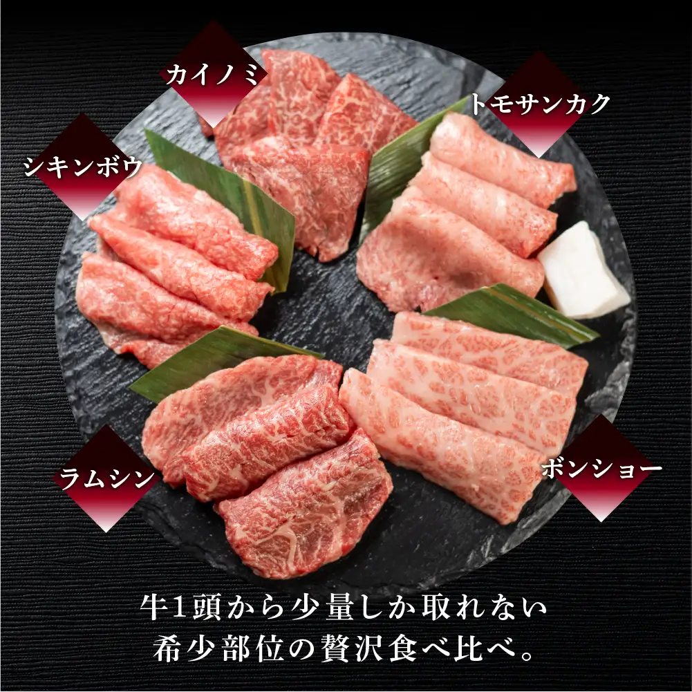 【数量限定】飛騨牛 希少部位5種 焼肉盛り合わせ 各100g  計500g  (ラムシン、ボンショー、カイノミ、トモサンカク、シキンボウ) 【70-45】