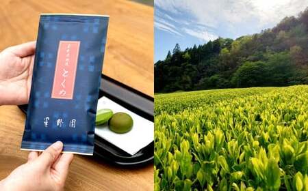 八女市産 星野園特選煎茶 とくめ (100g×5袋) 合計500g 八女茶 緑茶 日本茶 お茶 茶葉 煎茶 国産茶 国産 お茶の星野園