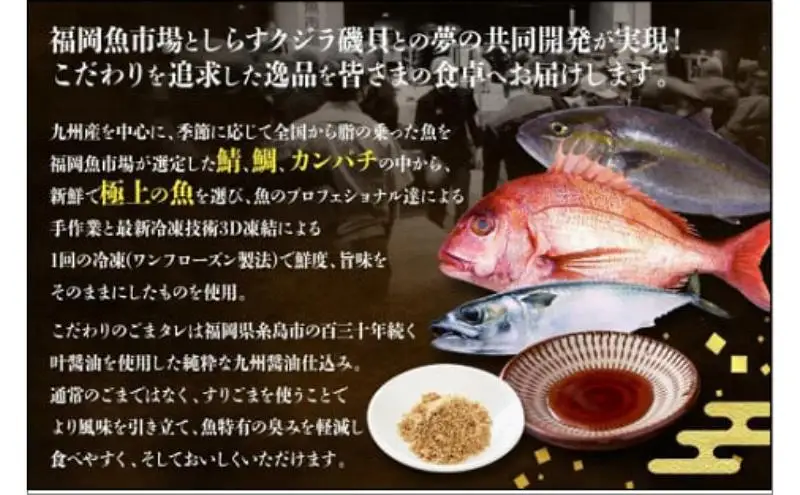 【福岡市】ごま鯖・ごま鯛・ごまカンパチ 各2袋 九州まるごとセット | 魚 お魚 さかな 食品 人気 おすすめ 送料無料