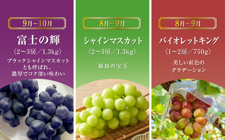 【先行予約 2025年発送】＼ぶどう６種食べくらべ定期便／ 6回発送 冷蔵 高級 種無し 種なし シャインマスカット ブドウ ぶどう 品種 果物 フルーツ 巨峰 美味しい 希少 人気 ランキング ギフト 納税 福島 ふくしま 田村市 鈴木農園