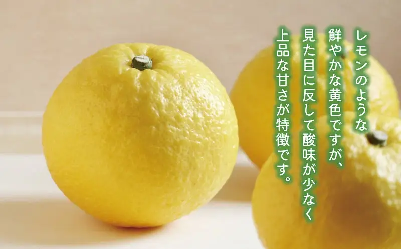 はるか 3kg あいなんマザーズ