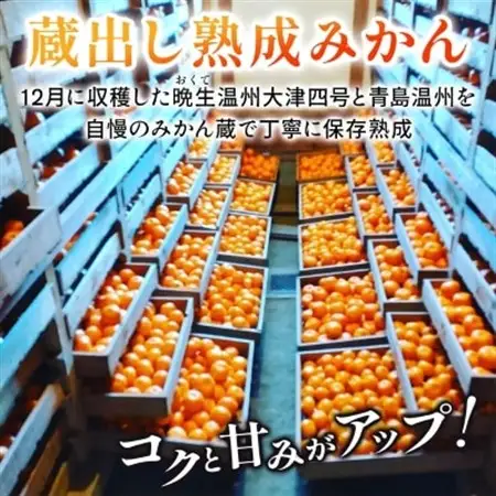隠れ名産地　蔵出し熟成和泉みかん(中玉・大玉サイズミックス)5kg【1499001】