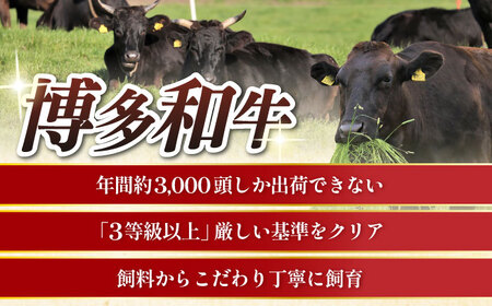 【全2回定期便】博多和牛 肩ロース薄切り 500g [ABCL133]