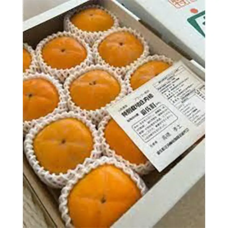 特別栽培 庄内柿（ブランデー脱渋）2.5kg 柿 かき デザート フルーツ 果物 くだもの 果実 食品 山形県 FSY-2671