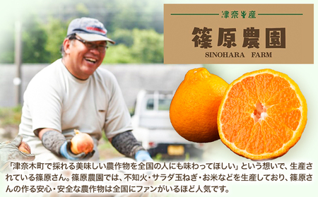 不知火 訳あり 5kg 不知火
