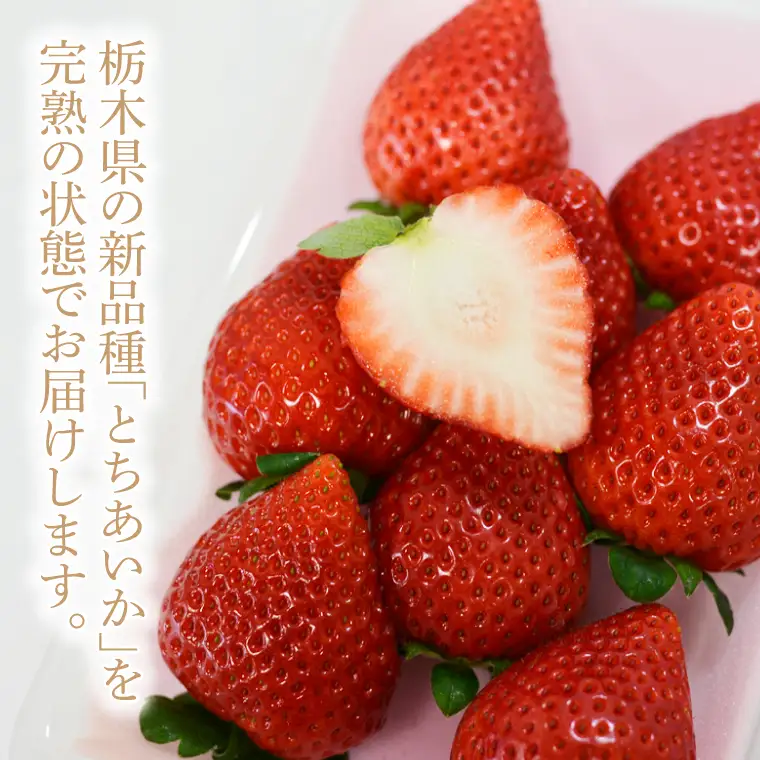 数量限定 とちあいか 600g【栃木県共通返礼品/真岡市産】DM001