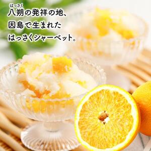 因島のはっさくシャーベット(未凍結）（75g×12個）