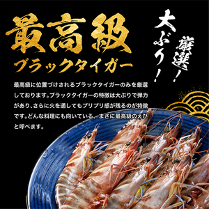 えび 高級ブラックタイガー 1kg [001-a008_fn] エビ 海老