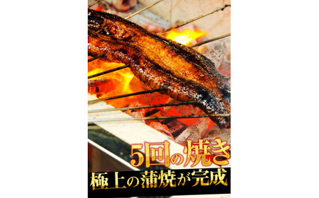 [001-a009] 国産うなぎ蒲焼き2尾セット