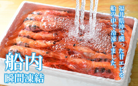 [011-a003] 子持ち越前甘えび！約500g