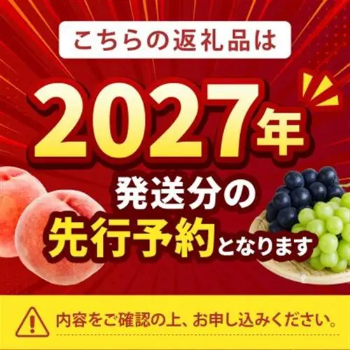 2027年発送先行受付【果汁溢れるクセになる新感覚】マンゴーネクタリンやみつきリピーター続出中【配送不可地域：離島・北海道・沖縄県・中国・四国・九州】【1468753】