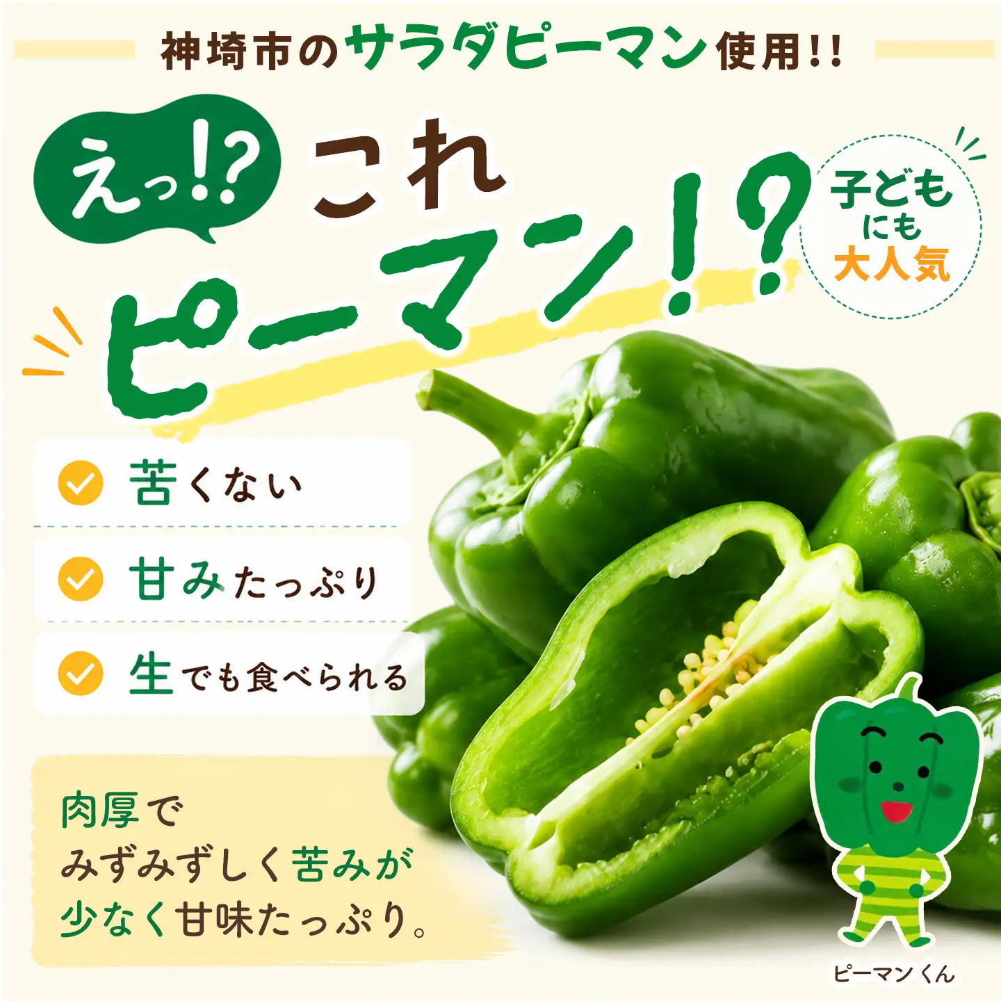 ピーマン味噌 もりぴー【3個セット】(H100104)